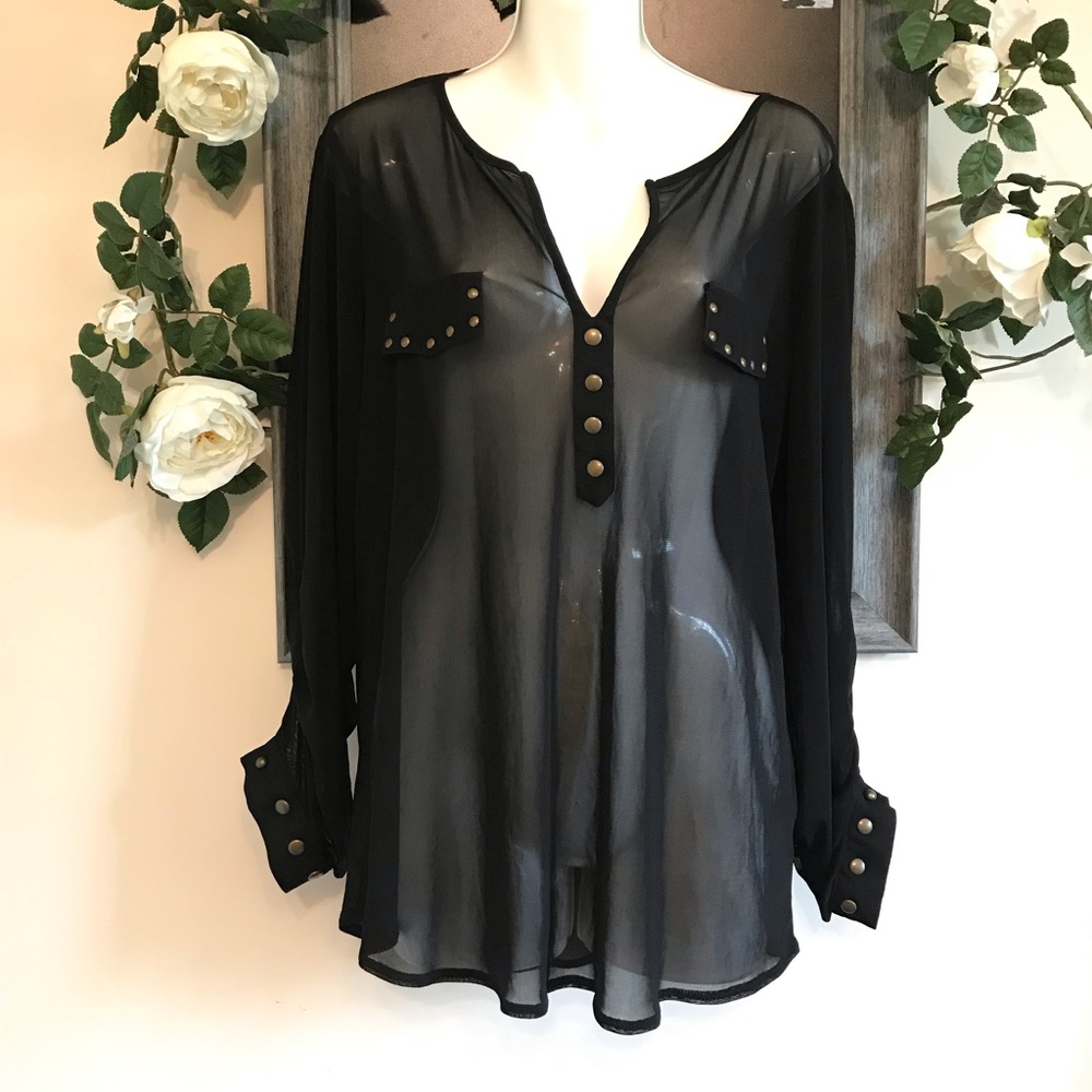 Anthropologie Eden and Olivia translucent blouse